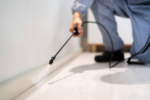 Licensed Termite Control service in Evansville, WI - Nex Pest Control