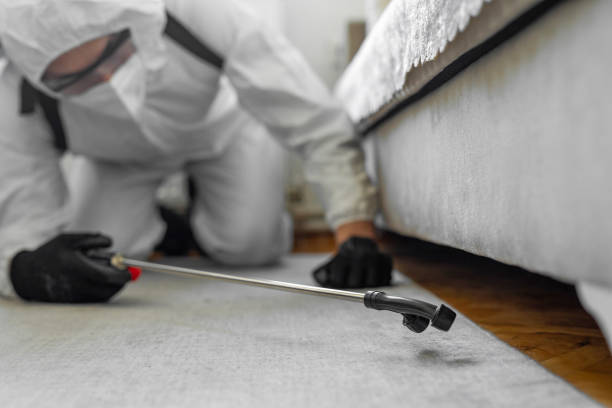 Professional Termite Control technician working in Evansville, WI