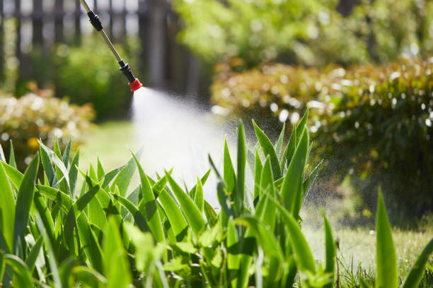 24/7 Emergency Termite Control experts in Evansville, WI
