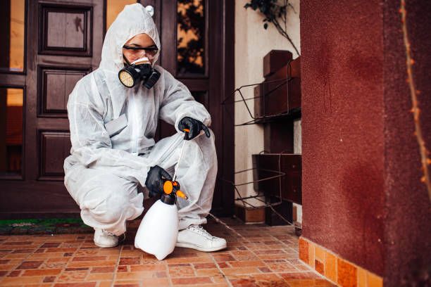 Reliable Termite Control contractor in Evansville, WI by Nex Pest Control