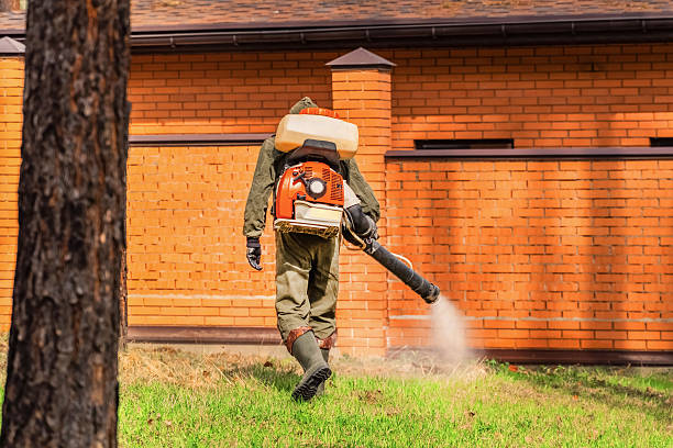 Top rated local Termite Control specialists in Evansville, WI